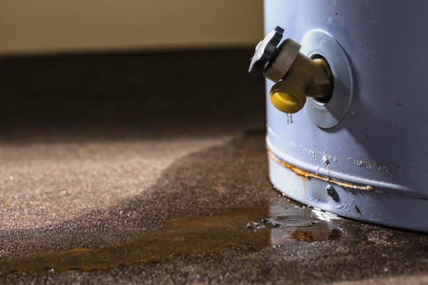 Best Water damage restoration mold remediation  in South Whittier, CA