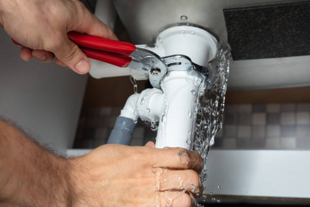 Best Professional water damage repair  in South Whittier, CA