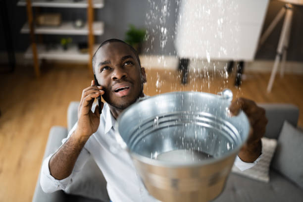 Best 24-hour water damage restoration  in South Whittier, CA