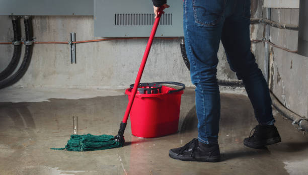 Best Sewage cleanup and water damage restoration  in South Whittier, CA