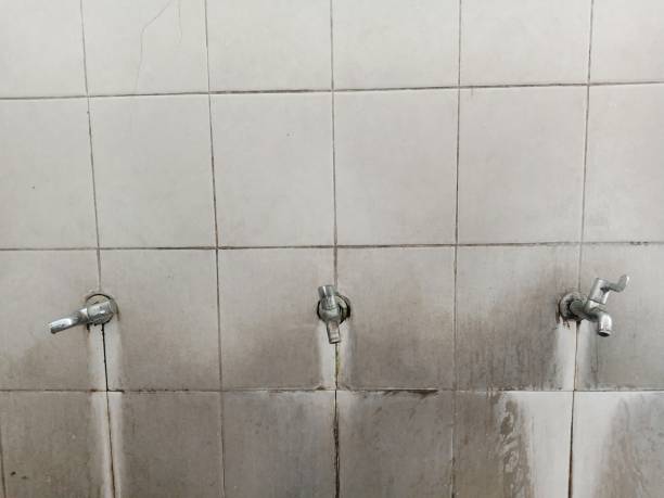 Best Flood damage cleanup  in South Whittier, CA