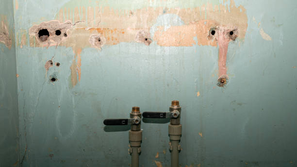 Best Water damage cleanup near me  in South Whittier, CA
