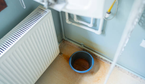 Water damage restoration mold remediation in South Whittier, CA