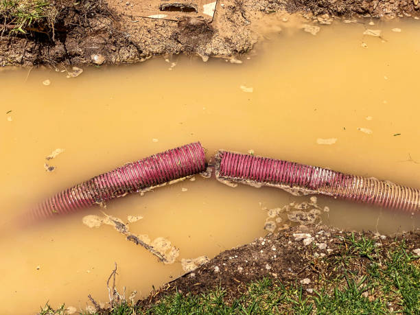Best Residential water damage restoration  in South Whittier, CA